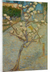 Small pear tree in blossom, 1888 by Vincent van Gogh
