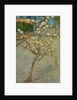 Small pear tree in blossom, 1888 by Vincent van Gogh