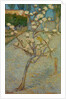 Small pear tree in blossom, 1888 by Vincent van Gogh