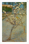 Small pear tree in blossom, 1888 by Vincent van Gogh