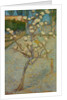 Small pear tree in blossom, 1888 by Vincent van Gogh