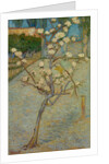 Small pear tree in blossom, 1888 by Vincent van Gogh