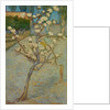 Small pear tree in blossom, 1888 by Vincent van Gogh