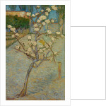 Small pear tree in blossom, 1888 by Vincent van Gogh