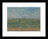 Wheatfield with Partridge, 1887 by Vincent van Gogh