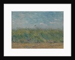 Wheatfield with Partridge, 1887 by Vincent van Gogh