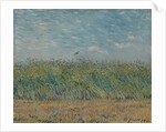 Wheatfield with Partridge, 1887 by Vincent van Gogh