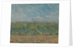 Wheatfield with Partridge, 1887 by Vincent van Gogh
