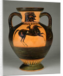 Athenian Attic black-figure amphora with naked rider, c.570-60 by Greek school