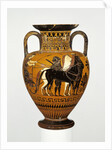 Attic black-figure neck amphora with apotheosis of Heracles, c.530-20 BC by Greek school