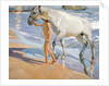 Washing the Horse, 1909 by Joaquin Sorolla y Bastida