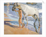 Washing the Horse, 1909 by Joaquin Sorolla y Bastida