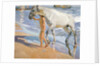 Washing the Horse, 1909 by Joaquin Sorolla y Bastida