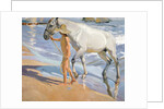 Washing the Horse, 1909 by Joaquin Sorolla y Bastida