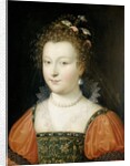Portrait of a Woman, 1550-74 by Fontainebleau School