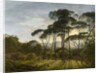 Italian Landscape with Umbrella Pines, 1807 by Hendrik Voogd