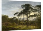 Italian Landscape with Umbrella Pines, 1807 by Hendrik Voogd