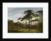 Italian Landscape with Umbrella Pines, 1807 by Hendrik Voogd