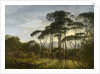 Italian Landscape with Umbrella Pines, 1807 by Hendrik Voogd