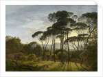 Italian Landscape with Umbrella Pines, 1807 by Hendrik Voogd