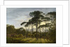 Italian Landscape with Umbrella Pines, 1807 by Hendrik Voogd