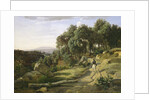 A View near Volterra, 1838 by Jean Baptiste Camille Corot