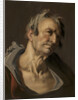 Head of an Old Man by Abraham Bloemaert