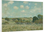 Meadow, 1875 by Alfred Sisley
