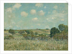 Meadow, 1875 by Alfred Sisley