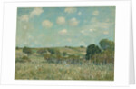 Meadow, 1875 by Alfred Sisley