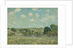 Meadow, 1875 by Alfred Sisley