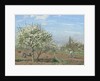Orchard in Bloom, Louveciennes, 1872 by Camille Pissarro
