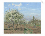 Orchard in Bloom, Louveciennes, 1872 by Camille Pissarro