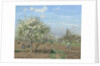 Orchard in Bloom, Louveciennes, 1872 by Camille Pissarro