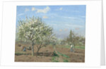 Orchard in Bloom, Louveciennes, 1872 by Camille Pissarro