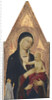 Madonna and Child with Donor, 1325-30 by Lippo Memmi