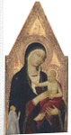 Madonna and Child with Donor, 1325-30 by Lippo Memmi
