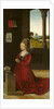 Portrait of a Female Donor, c.1455 by Petrus Christus