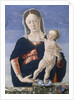 Madonna and Child, c.1467-8 by Marco Zoppo
