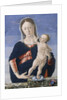 Madonna and Child, c.1467-8 by Marco Zoppo