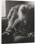 Walt Whitman, 1891 by Thomas Cowperthwait Eakins