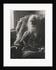Walt Whitman, 1891 by Thomas Cowperthwait Eakins