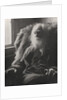 Walt Whitman, 1891 by Thomas Cowperthwait Eakins