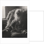 Walt Whitman, 1891 by Thomas Cowperthwait Eakins