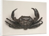 Box in the Form of a Crab, Paduan, early 16th century by Italian School