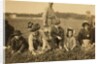 Annette Roy said to be 7 and Napoleon Ruel said to be 9 picking cranberries at Smart's Bog, South Carver, Massachusetts, 1911 by Lewis Wickes Hine