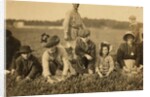 Annette Roy said to be 7 and Napoleon Ruel said to be 9 picking cranberries at Smart's Bog, South Carver, Massachusetts, 1911 by Lewis Wickes Hine