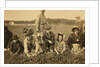 Annette Roy said to be 7 and Napoleon Ruel said to be 9 picking cranberries at Smart's Bog, South Carver, Massachusetts, 1911 by Lewis Wickes Hine