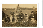 Annette Roy said to be 7 and Napoleon Ruel said to be 9 picking cranberries at Smart's Bog, South Carver, Massachusetts, 1911 by Lewis Wickes Hine