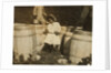 Mary Christmas, only 3, made to pick cranberries spilt at the barrels by her grandfather, Week's Bog, Falmouth, Massachusetts, 1911 by Lewis Wickes Hine